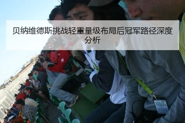 贝纳维德斯挑战轻重量级布局后冠军路径深度分析